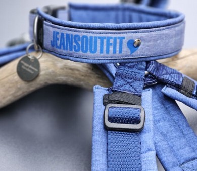 Hundegeschirr und Halsband jeansoutfit